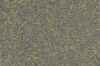 BR_small.jpg (1428 bytes)