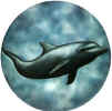 Dolphin.JPG (64460 bytes)