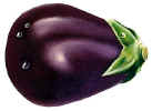 Eggplant.JPG (48782 bytes)