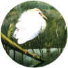 Egret_Art_Pattern.JPG (69664 bytes)