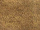 Jungle leopard fabric