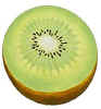 Kiwi.JPG (58525 bytes)
