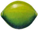 Lime.JPG (47235 bytes)