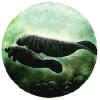 Manatees.JPG (68545 bytes)