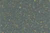 SG.JPG (40834 bytes)