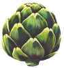 Artichoke