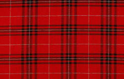 Benson Red Plaid fabric