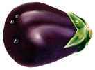 Eggplant