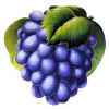 Grapes