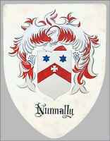 Nunnally custom medieval shield crest
