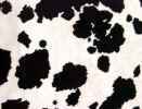 Black and whit cow fabric